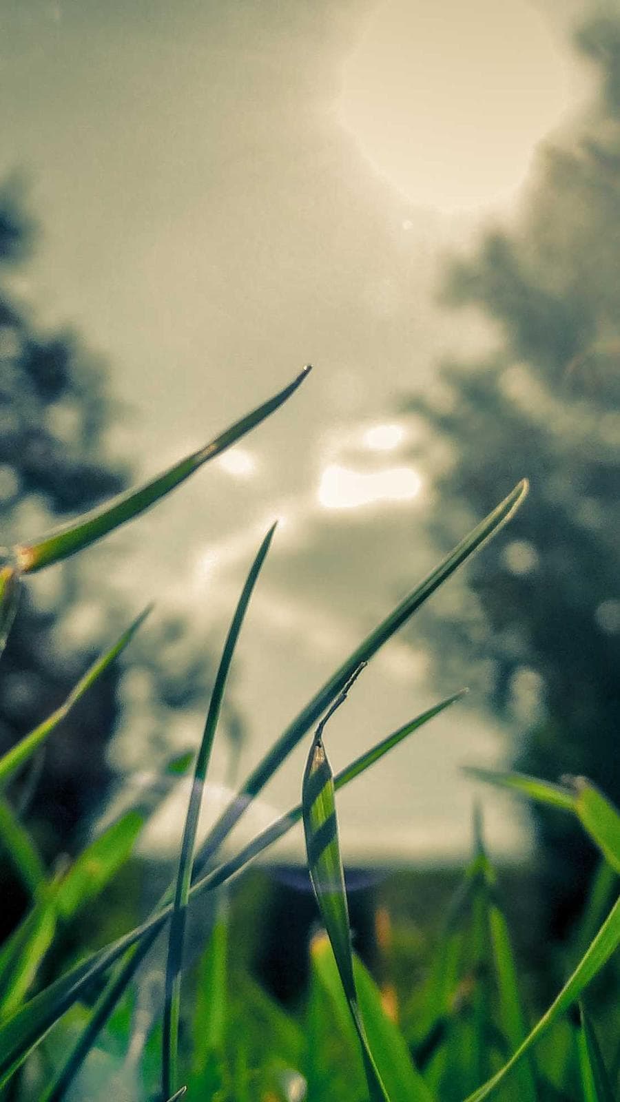 Bamboo forest mornings hit different when you beat the crowds 🎋